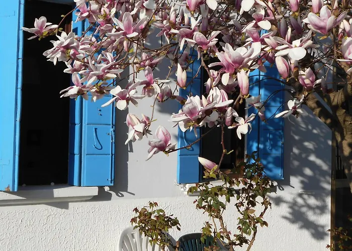 Mirella\'S House
